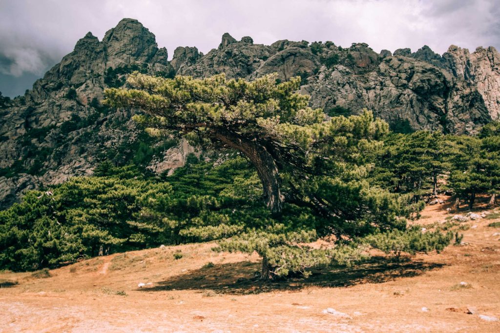East Corsica Travel Guide: 10 Must-See Destinations East Corsica Travel Guide: 10 Must-See Destinations - Bavella