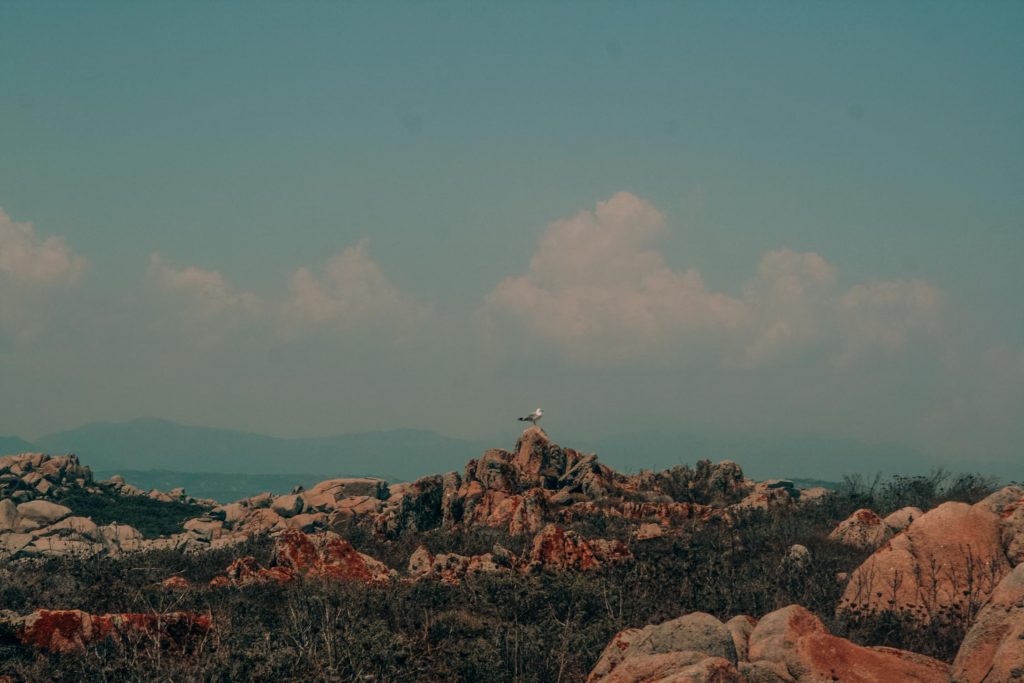 East Corsica Travel Guide: 10 Must-See Destinations East Corsica Travel Guide: 10 Must-See Destinations - Bonifacio