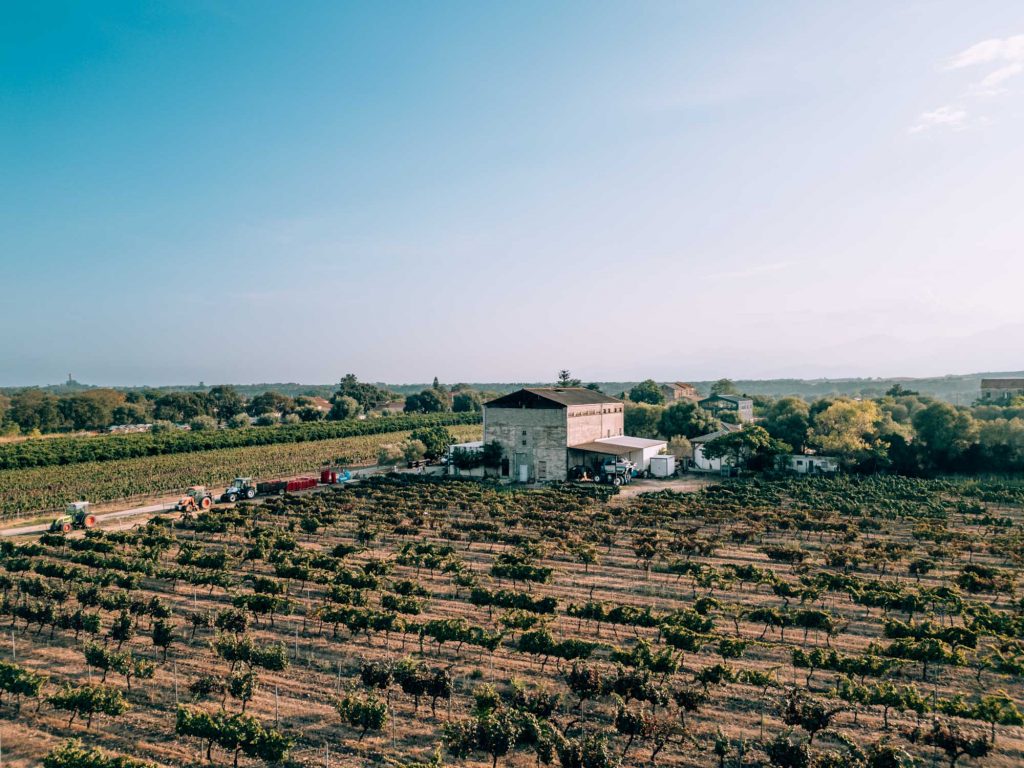 The Ultimate Corsica Wine Tasting Guide & Its 9 Regions The Ultimate Corsica Wine Tasting Guide - Clos Canereccia