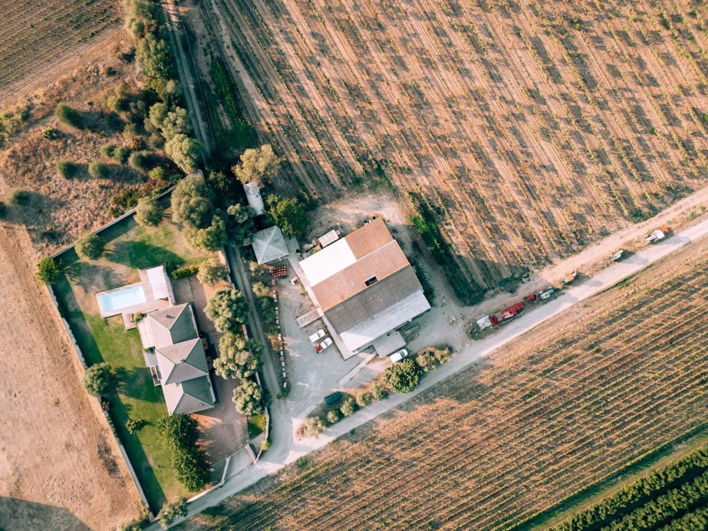The Ultimate Corsica Wine Tasting Guide
