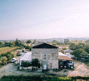 Europe The Ultimate Corsica Wine Tasting Guide