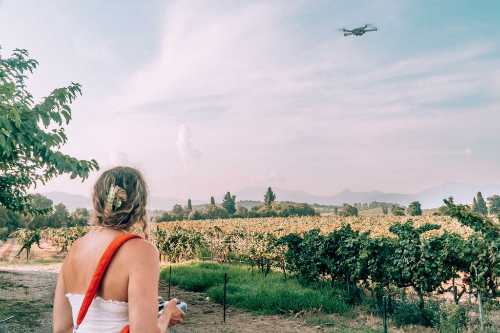 The Ultimate Corsica Wine Tasting Guide & Its 9 Regions The Ultimate Corsica Wine Tasting Guide