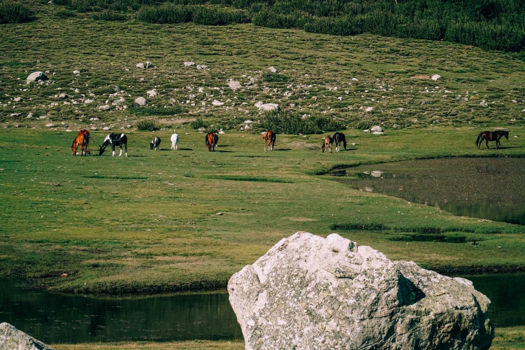 3 Week Corsica Itinerary: Why You Must Go on a Road Trip Corsica Itinerary - Lac de Nino