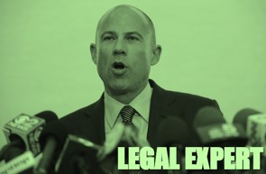 Legal expert