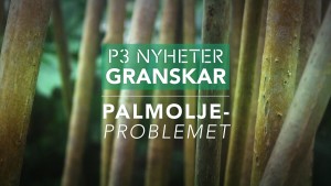 P3-palmolja