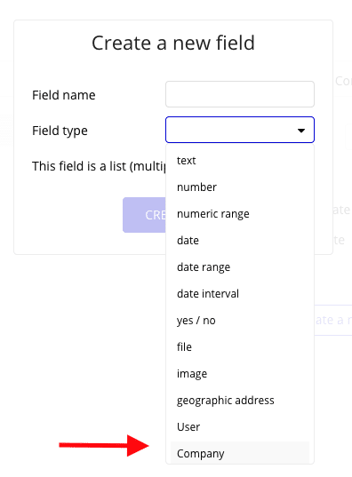 List showing Bubble's Data Type fields, as well as a custom field