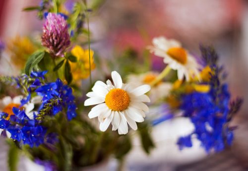 Läs mer om artikeln Glad midsommar!