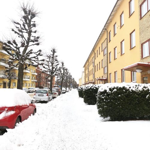 Läs mer om artikeln Kvarterspromenader och en lugn helg