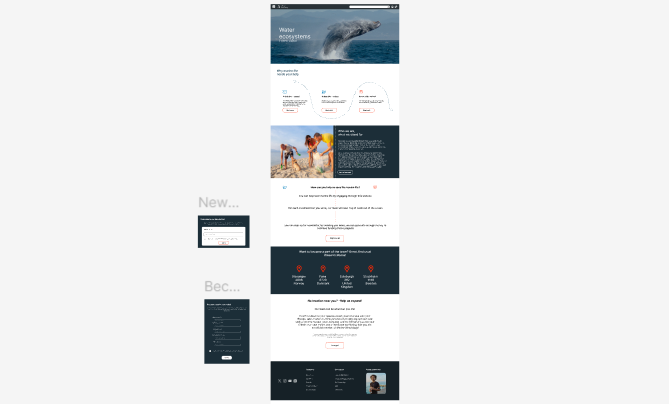 High-Fidelity Website Design