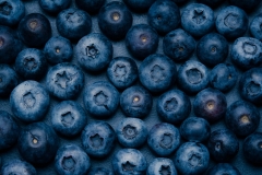 180310_blueberries_044