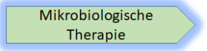 Mikrobiologische Therapie Deutschland