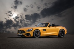 MERCEDES-AMG GT Family, Press Test Drive Bilster Berg, September 2017