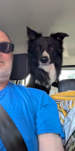 in car with_dog