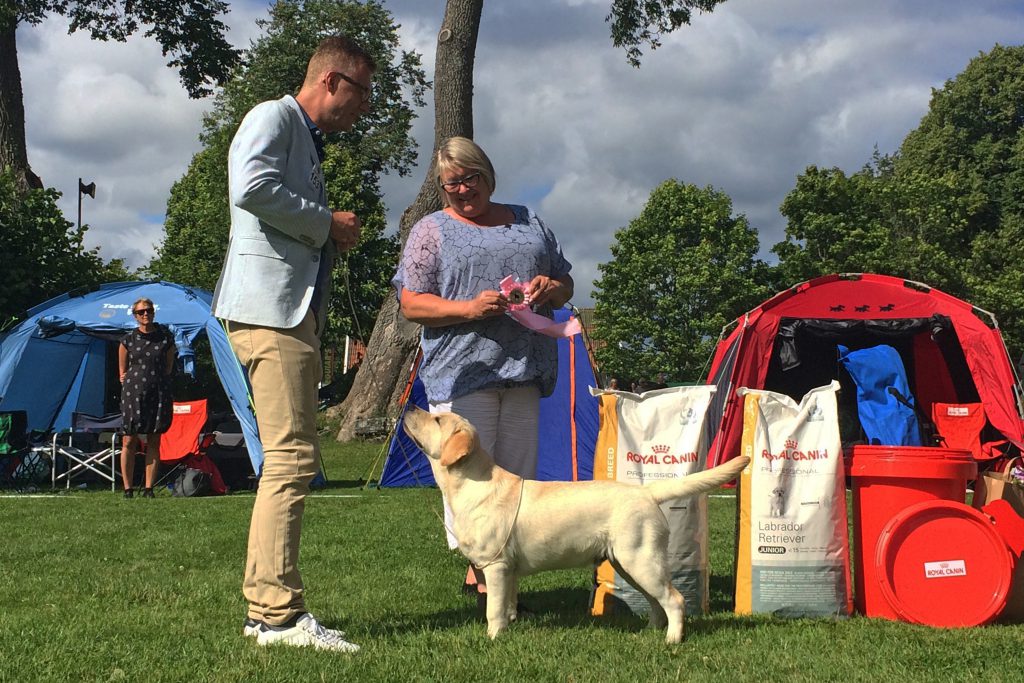 20160716_4327_BIS-Valp