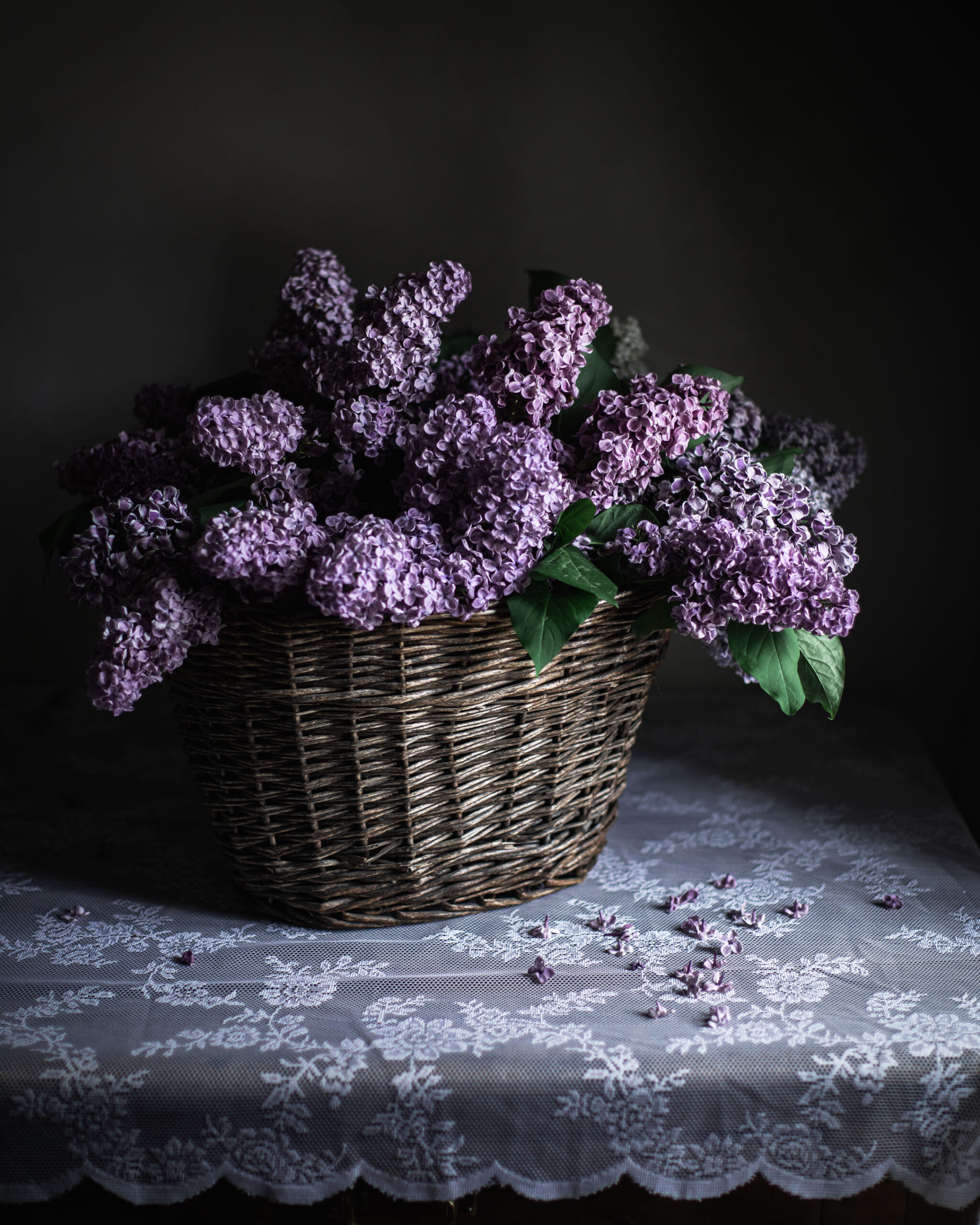 Lilac flower infused honey syriner honning