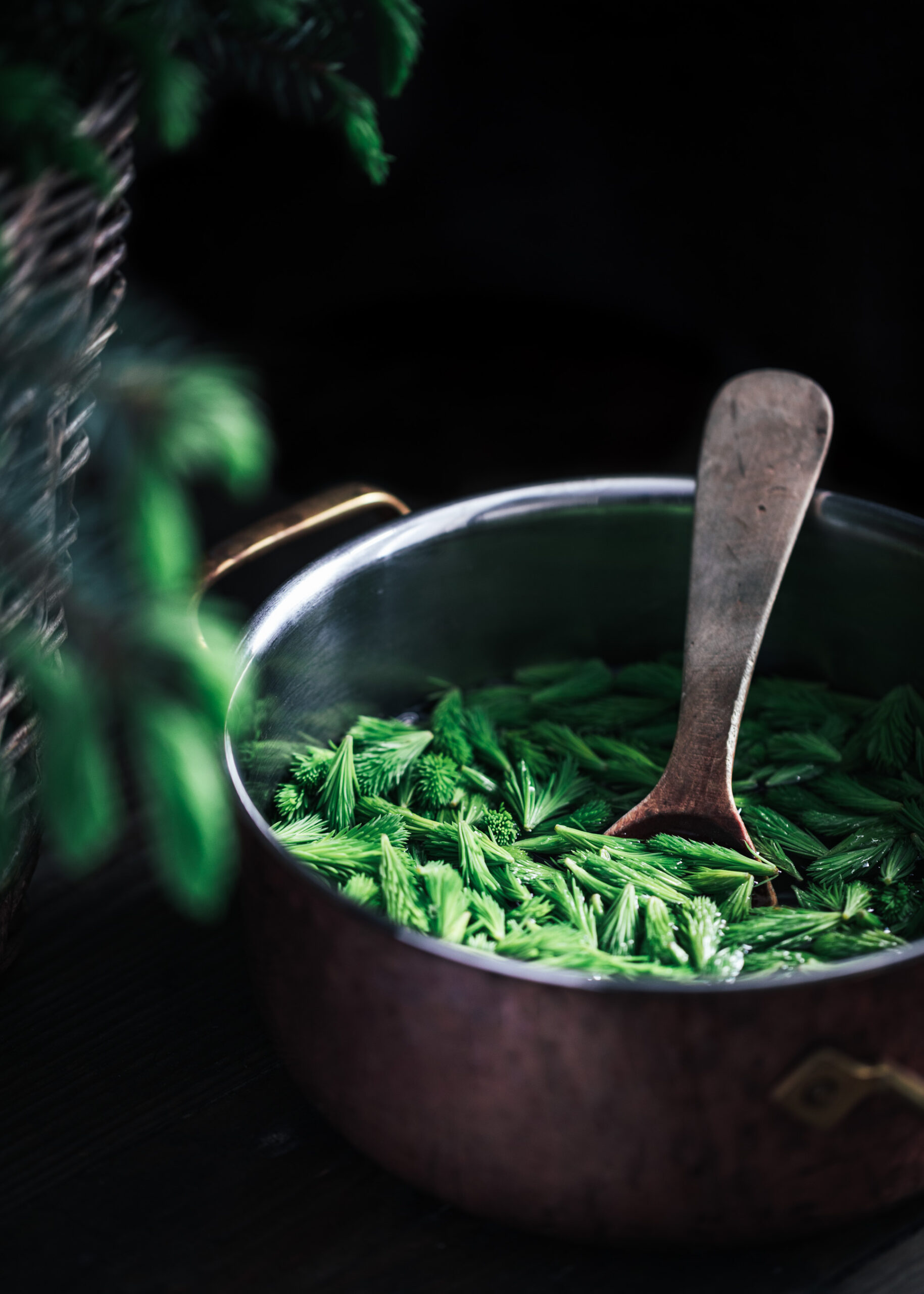 Spruce tips in copper pot ready for making syrup