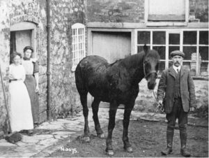 Askerswell inhabitants and horse