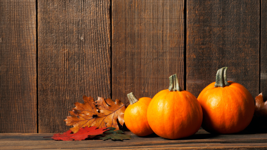 migliori cibi autunnali - zucca