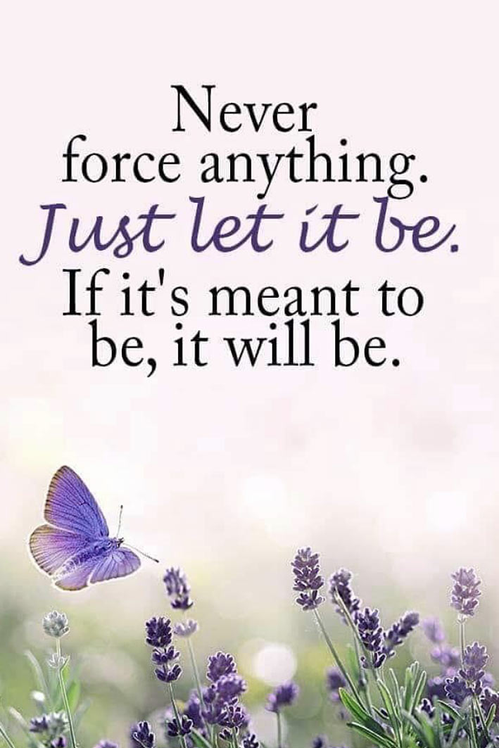 never-force-anything-angelas-heaven-the-law-of-attraction