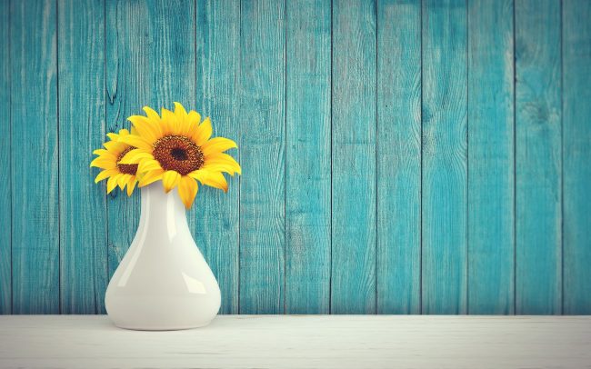 sunflower-3292932_1920