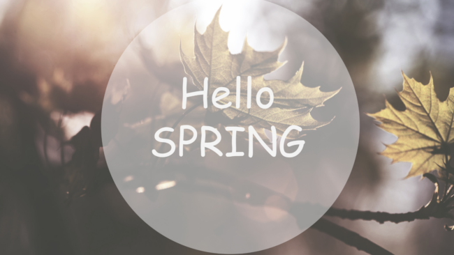 Copy of Spring Term Newsletter (1920 × 1080px) (1)