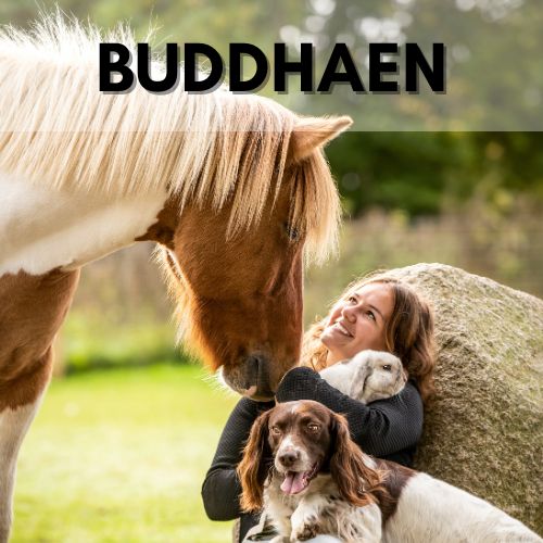 Sjæle essens - Buddhaen