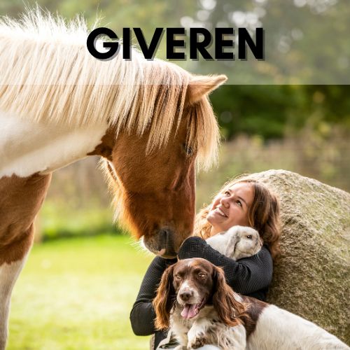 Sjæle essens - Giveren