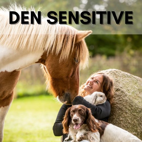 Sjæle essens - Den sensitive
