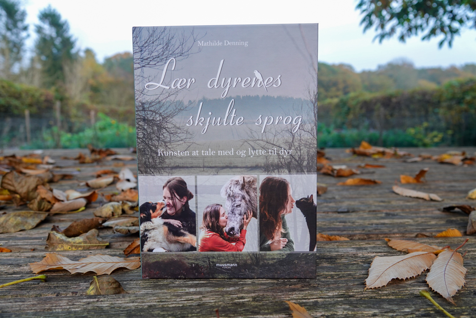 Bog: Lær dyrenes skjulte sprog
