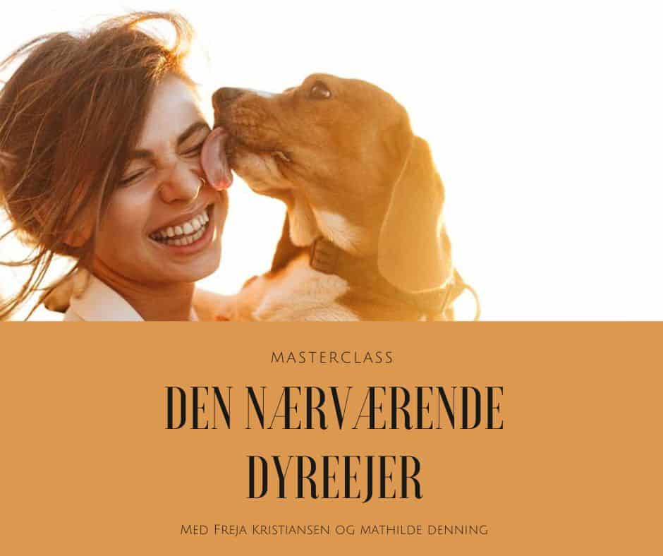 Masterclass: Den nærværende dyreejer