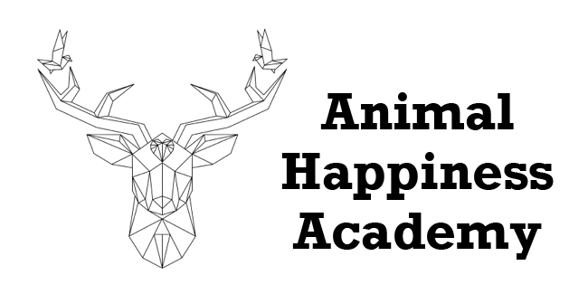 Animal Happiness Academy