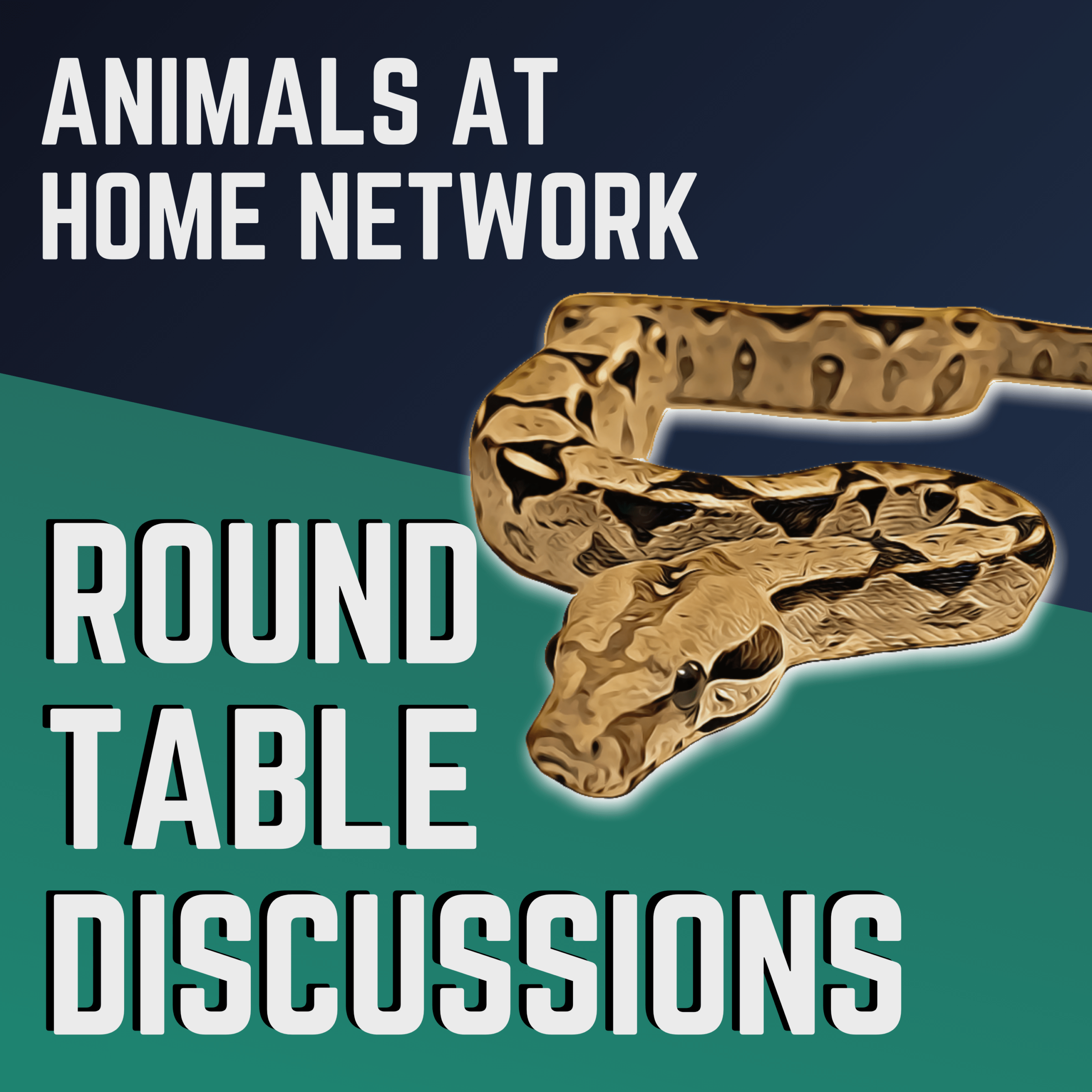 Animals at Home Network