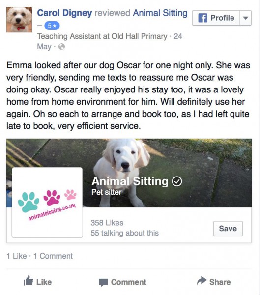 Dog boarding home top from home near me