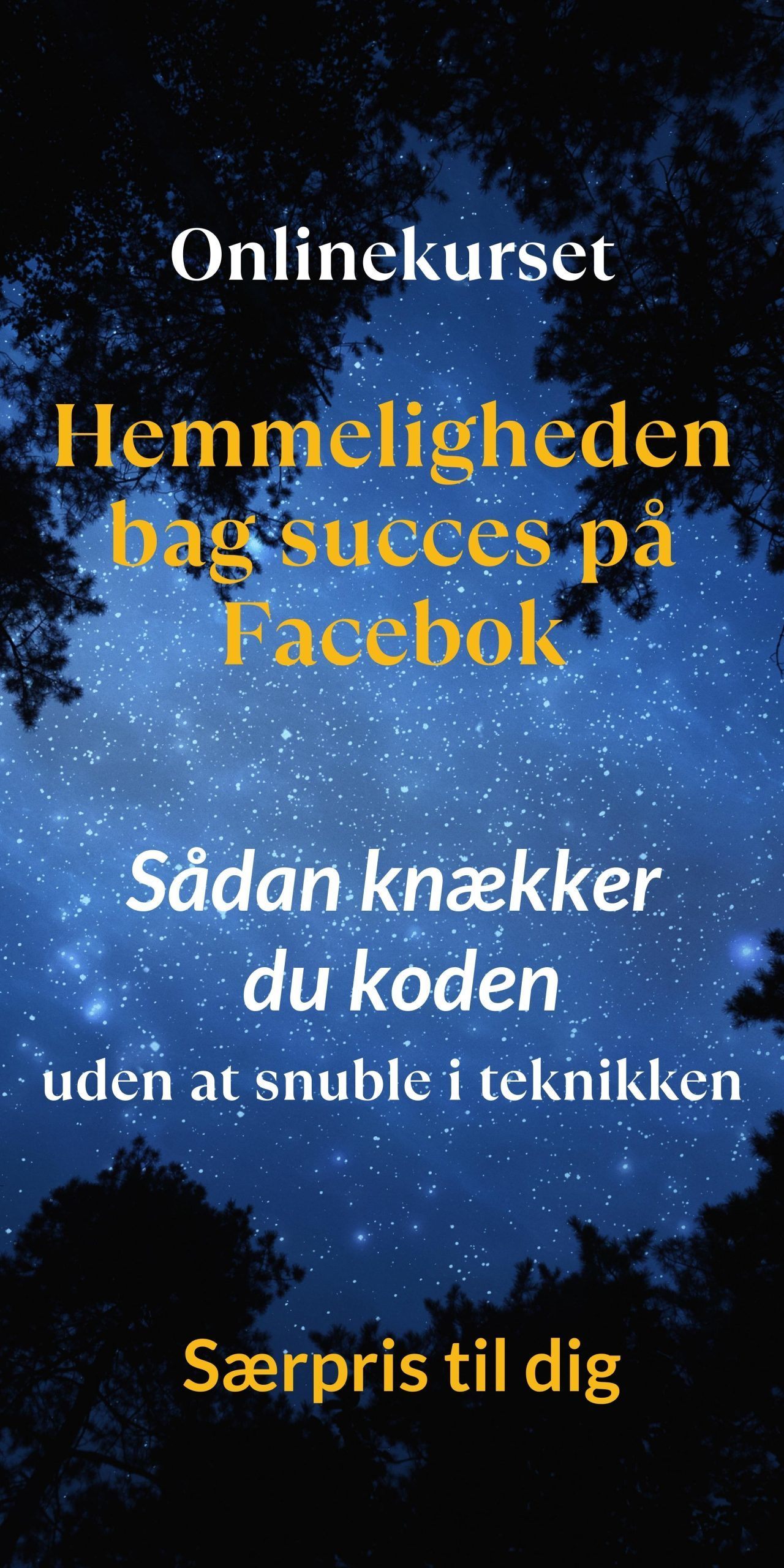 Hemmeligheden bag succes på Facebook