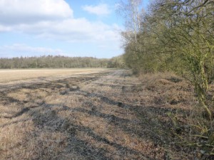 anloozuid celtic fields