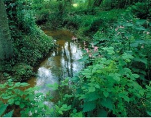 Wandelen rond Anloo