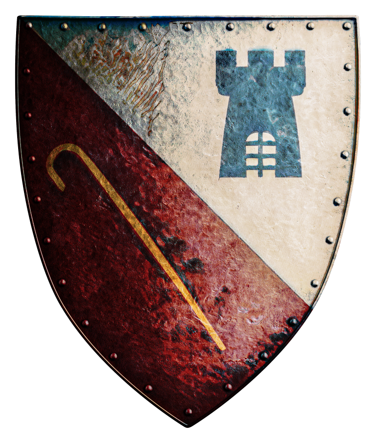 Medieval Heater Shield: Kingdom of France