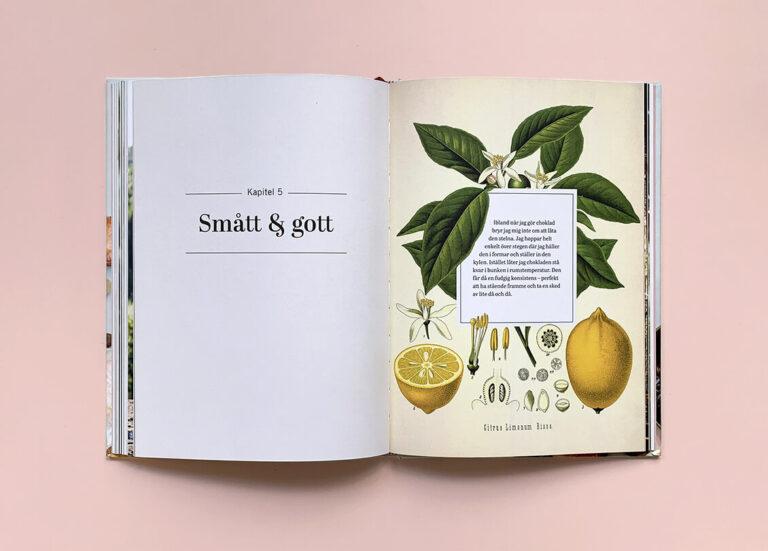 Uppslag med kapitelstart med titeln "Smått och gott" i boken "Superfood – desserter och drycker"