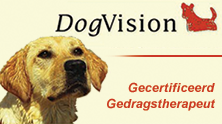 diploma DogVision