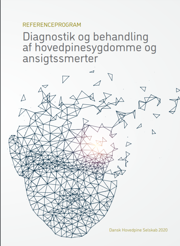 Referenceprogrammet</a> er publiceret i maj 2020 af Dansk og er en revideret udgave af Referenceprogrammet fra 2010.