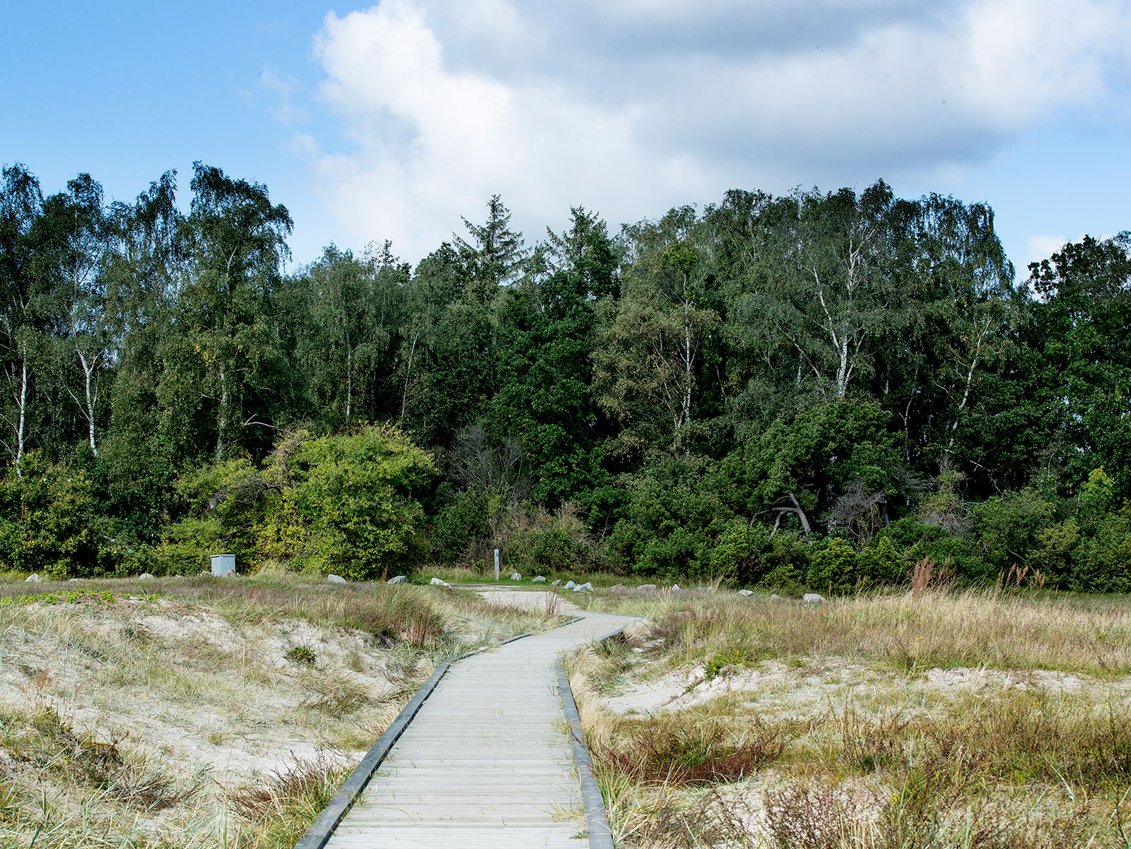 Hedebostien4_700x526