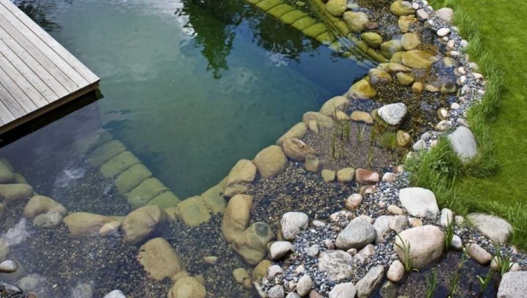 Nature pool – Vedbæk