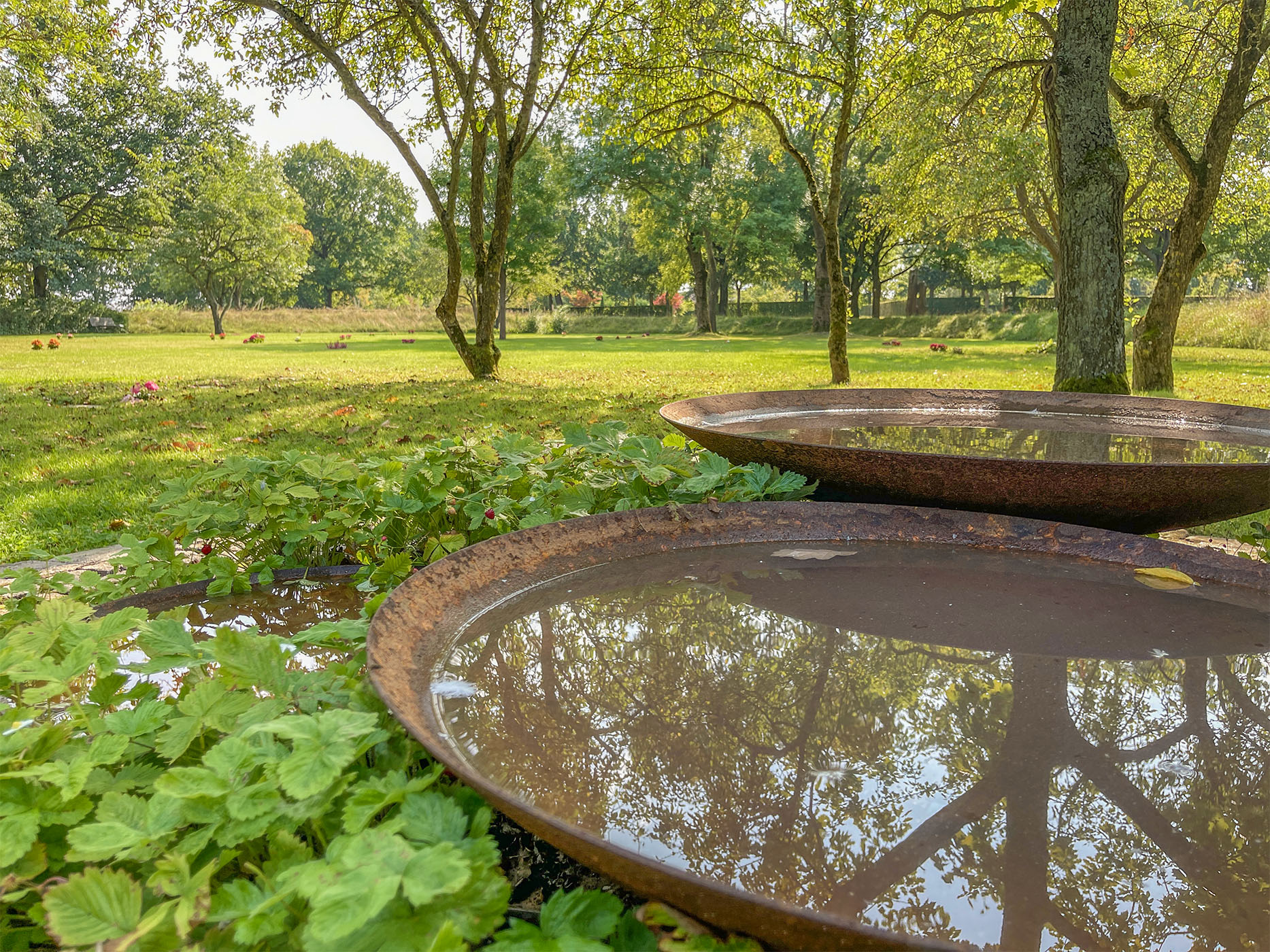 IMG_0626