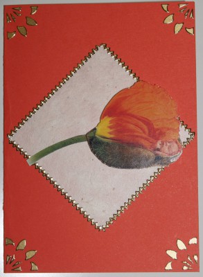 Image Thumbnail