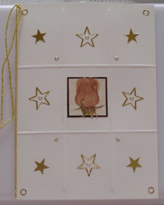 Image Thumbnail