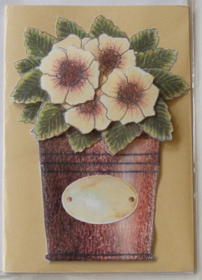 Image Thumbnail