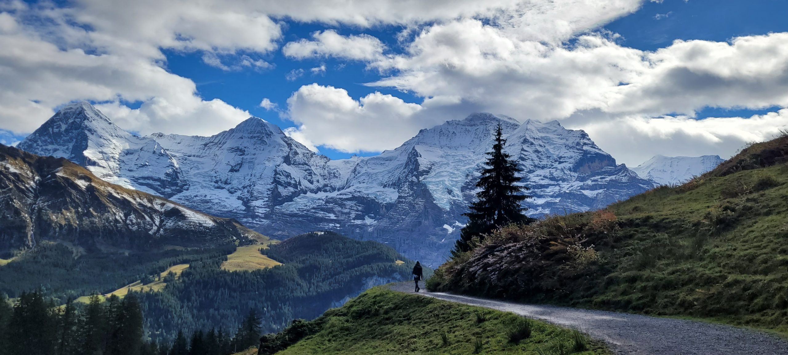 Vackra tågsträckor i Schweiz.