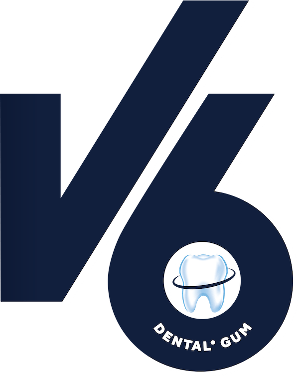 v6 logo