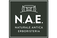 NAE logo