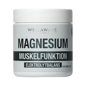 WELLAWARE Magnesium 210 minitabletter